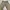 Kapital Kountry Vintage Casual Casual pants Pria tan photo 3