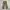 Kapital Kountry Vintage Casual Casual pants Pria tan photo 2