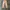 Small birds union made fatigue pant khaki photo 1