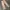 Small birds union made fatigue pant khaki photo 2