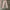 Small birds union made fatigue pant khaki photo 5
