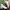 Boots Timberland Boots dr Martens docmart visvim jorts pants photo 3