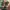 Boots Timberland Boots dr Martens docmart visvim jorts pants photo 5