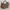 WEBE BAG SLINGBAG
