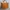WEBE BAG HANDBAG BATA photo 1