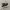 converse one star bw photo 1