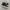 converse one star pro bw photo 2