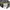 Shortpants Jorts Denim Carpenter POLO RALPH LAUREN Jeans photo 4