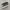 converse one star pro grey photo 1