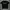 NatGeo Official Big Logo T-Shirt photo 2