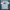 Adidas NCAA White T-Shirt photo 2