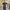 dress press body photo 3