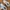 New Balance Casual Sportswear Sneakers Wanita Cream