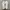 converse one star  photo 6