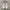 converse one star  photo 4