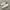 converse one star  photo 1