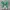 70s high green photo 3