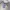 Lecaf Long sleeves polo shirt Broken white photo 4