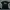 Adidas Trefoil Adventure T-Shirt photo 1