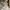Levi's Streetwear Casual Sweatshirt Pria white photo 2
