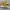 one star pro yellow photo 3