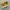 one star pro yellow photo 1