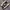 CONVERSE CHUCK TAYLOR 38 photo 1