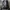 Adidas Casual Sportswear Bag Pria black photo 1