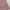 Y2K Coquette Cami top Wanita pink photo 5