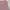 Y2K Coquette Cami top Wanita pink photo 4