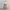 lace outer dress vintage photo 2