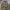 Zipper Hoodie Freaky Massive Camouflage  photo 1