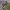 Zipper Hoodie Freaky Massive Camouflage  photo 2