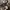 Zipper Hoodie Freaky Massive Camouflage  photo 5