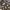 Zipper Hoodie Freaky Massive Camouflage  photo 3