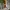 Yellow fitted dress mini overall photo 1