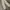 Lee classic fit chino pant khaki photo 2