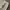 Lee classic fit chino pant khaki photo 8
