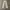 Lee classic fit chino pant khaki photo 1