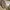 Lee classic fit chino pant khaki photo 5