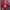 Jaket windbreaker merah oversize photo 2