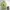 Supreme Vintage Y2K T-shirt Pria green photo 1