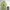 Supreme Vintage Y2K T-shirt Pria Green