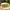 Trucker Hat Billabong Acros Waves Two Tone - Honey Gold photo 2
