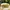 Trucker Hat Billabong Acros Waves Two Tone - Honey Gold