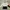 VANS Chima Ferguson Sydney | T-Shirt photo 1