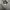 Hoodie nba grey photo 4