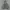 Hoodie nba grey photo 2