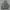 Hoodie nba grey photo 1