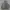 Hoodie Nba Grey